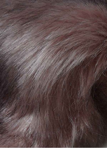 Loyth Sincerity Faux Fur Wrap