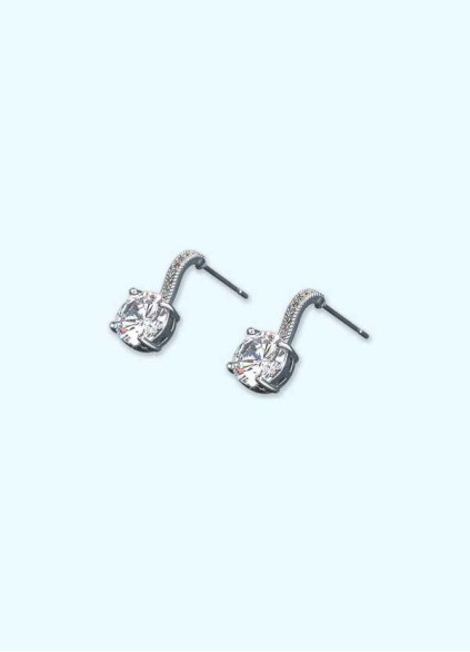 Hook and Crystal Earrings Hook and Crystal Earrings