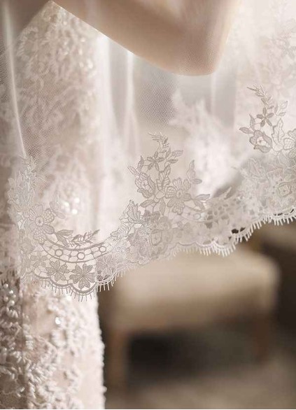 Amelia Veil Amelia Veil
