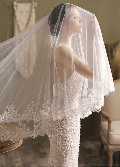 Amelia Veil Amelia Veil